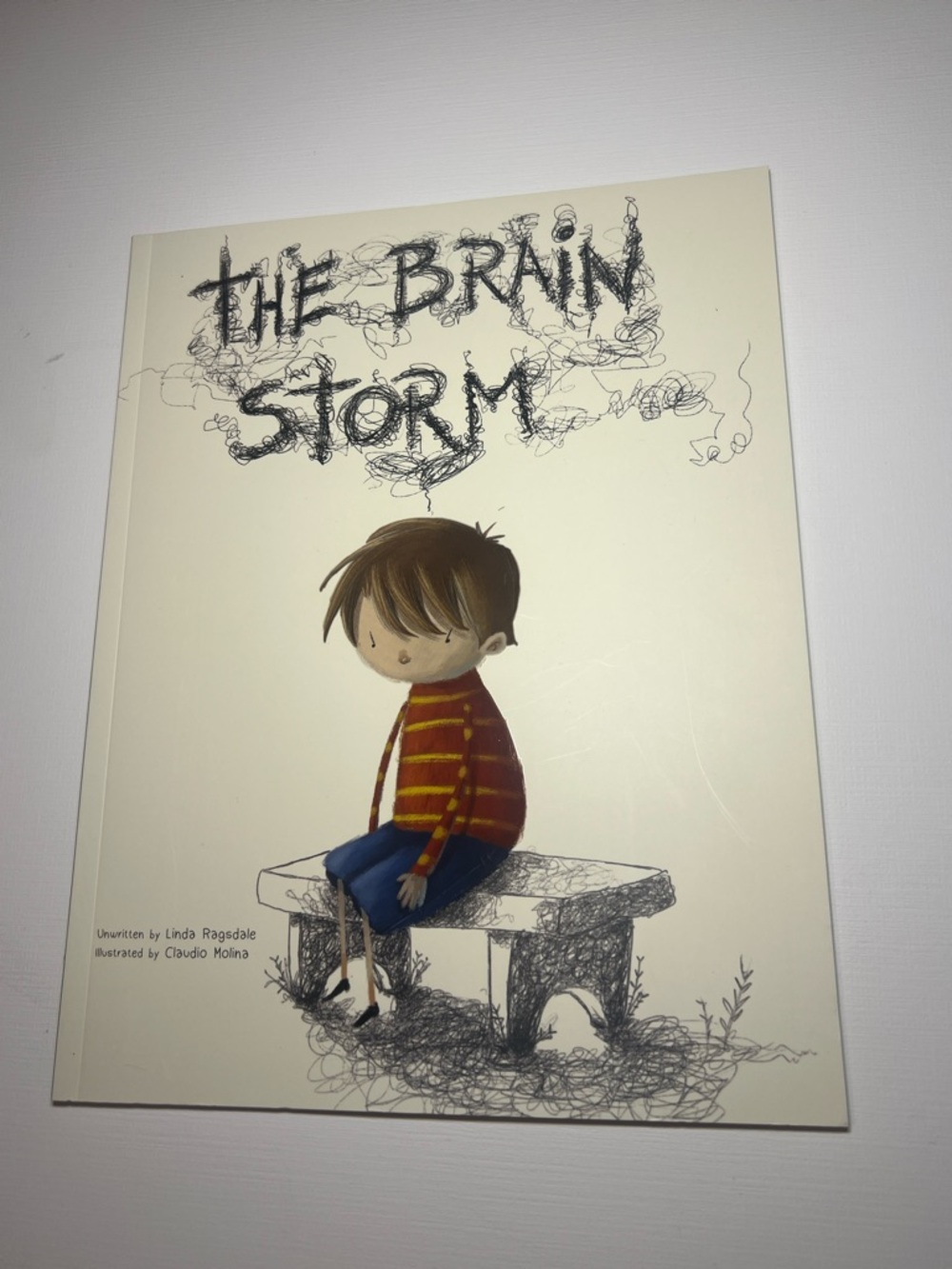 The Brain Storm book